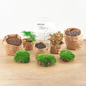 Everspring DIY terrarium kopen met mos, planten en materialen voor een eigen mini ecosysteem