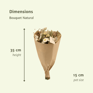 Everspring droogbloemen plukboeket naturel van 35 cm hoogte in bruine verpakking