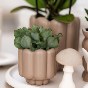 Everspring keramische bloempot retro stijl met groene plant in beige kleur voor decoratie