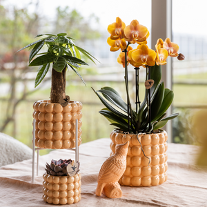 Poppy sierpot perzik van Everspring met bubbels ontwerp gebruikt voor diverse kamerplanten op tafel