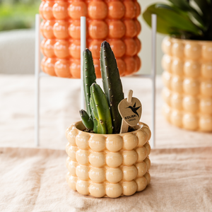 Everspring Poppy sierpot perzik met een groene cactus plant op een beige tafel