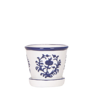 Malaga sierpot - Blauw Everspring