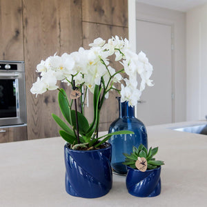 Candy sierpot laag - Blauw Everspring