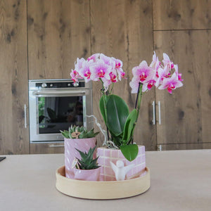Candy sierpot laag - Roze Everspring