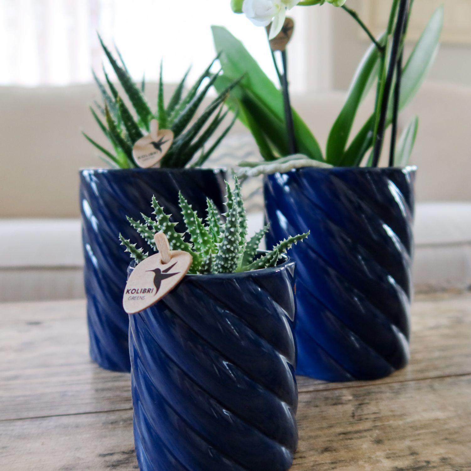 Candy sierpot hoog - Blauw Everspring