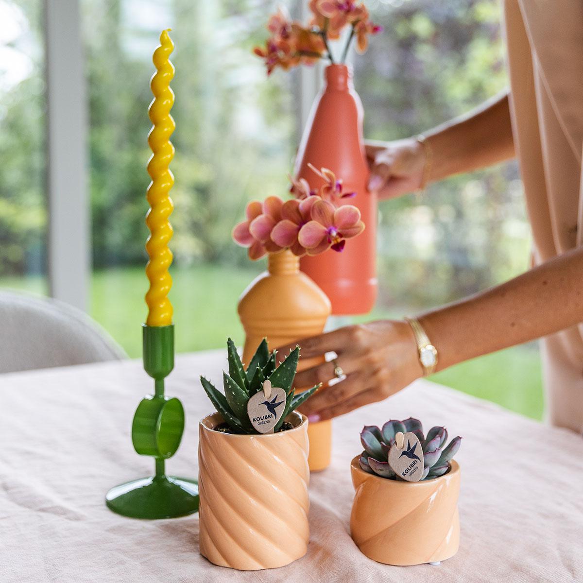 Candy sierpot hoog - Perzik Everspring