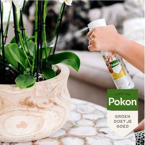 Everspring orchidee verzorgingsspray wordt gebruikt om groene orchideeën in een houten pot te verzorgen