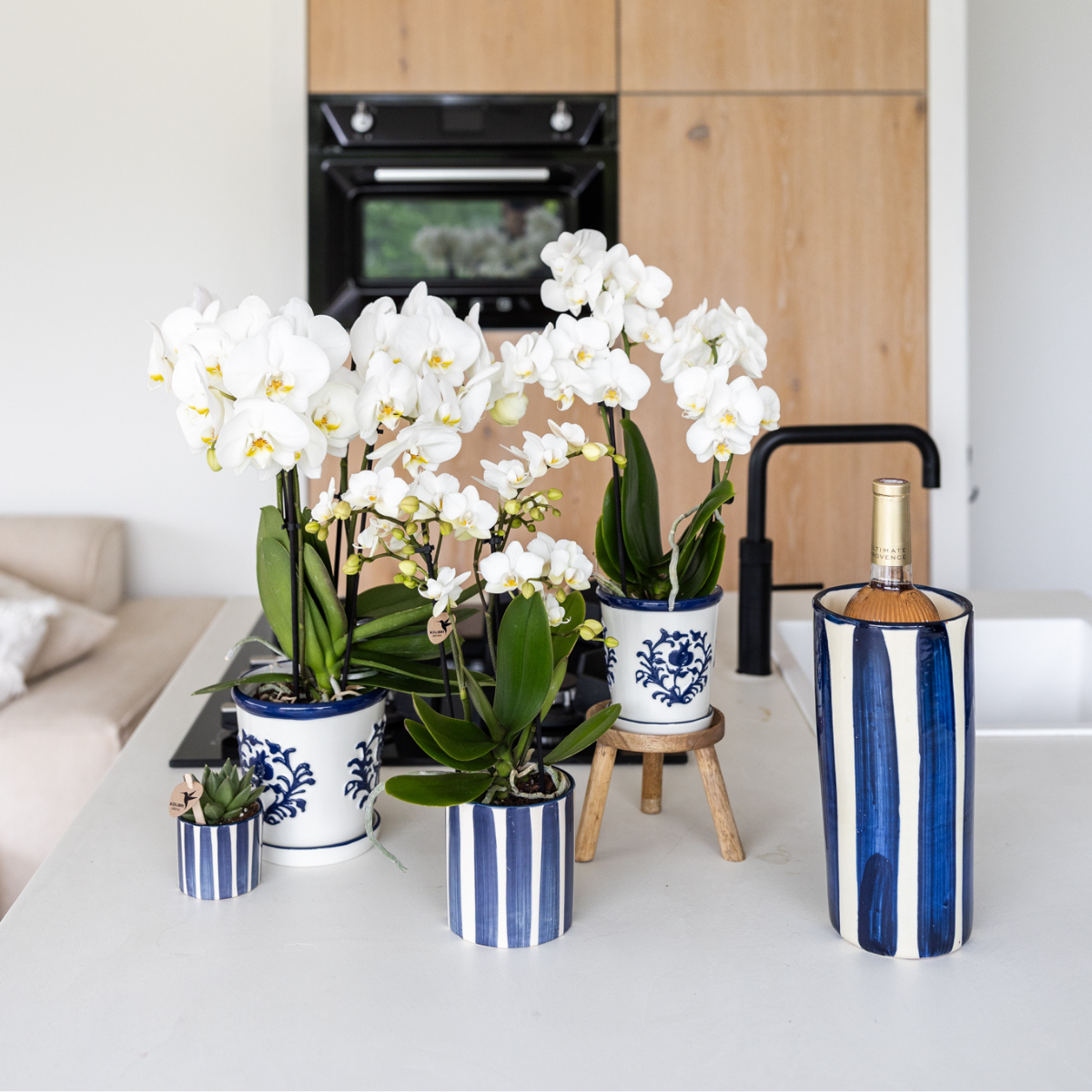 Painted Stripe sierpot - Blauw Everspring