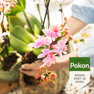 Everspring orchidee verzorgingsspray voor gezonde en bloeiende orchideeën groen doet je goed
