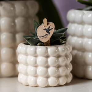 Everspring witte sierpot kopen met bubbelstructuur en groene plant voor binnenhuisdecoratie
