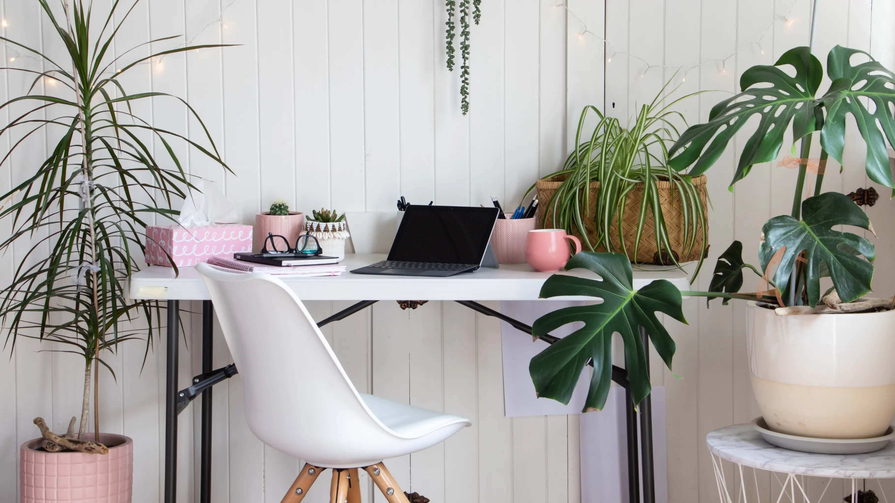 Groen in huis: waarom kamerplanten onmisbaar zijn in jouw interieur Groen in huis: waarom kamerplanten onmisbaar zijn in jouw interieur Kamerplanten zijn al lang meer dan alleen een decoratief element. Ze brengen leven, kleur en een gevoel van rust in elk