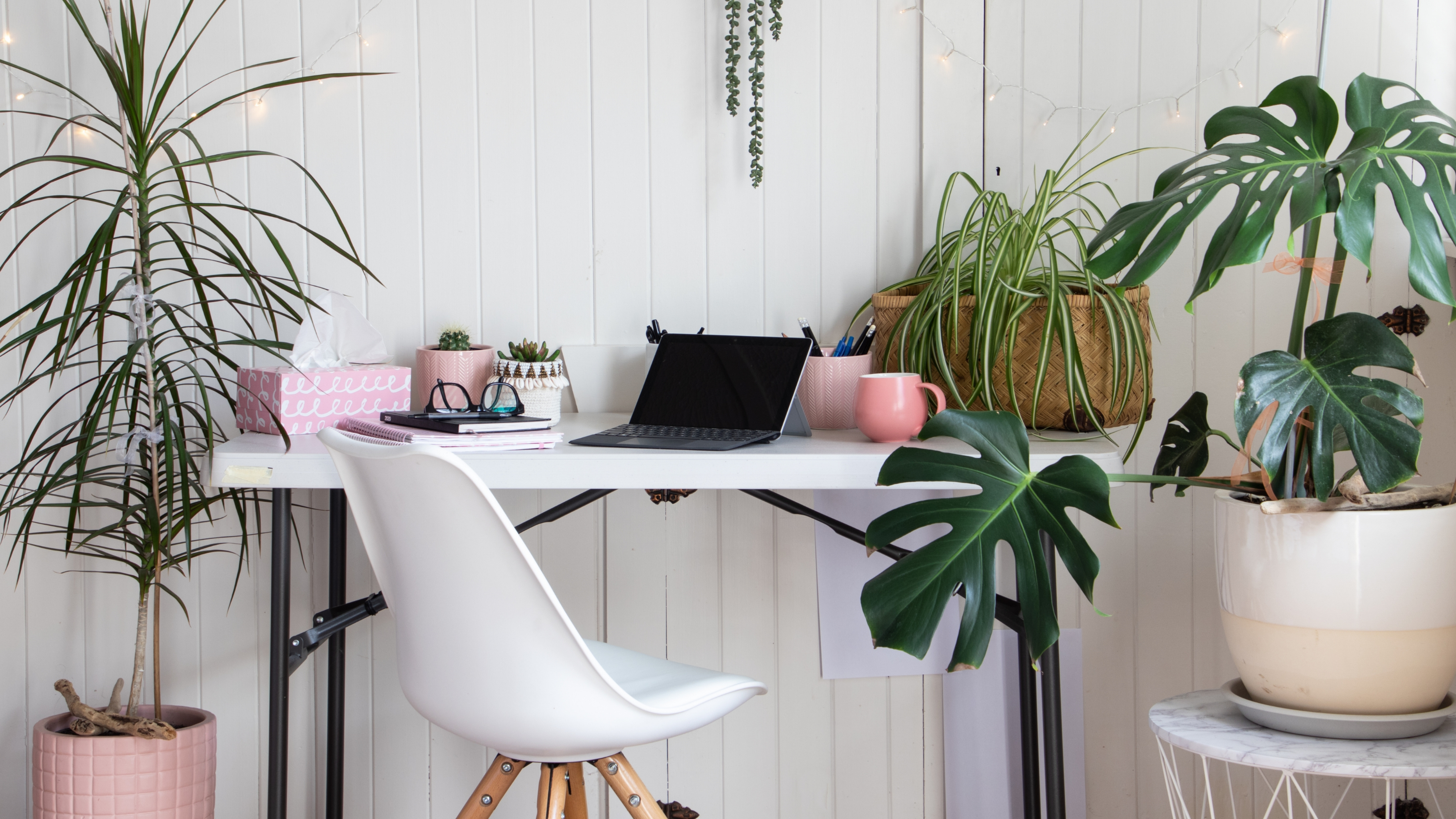 Groen in huis: waarom kamerplanten onmisbaar zijn in jouw interieur