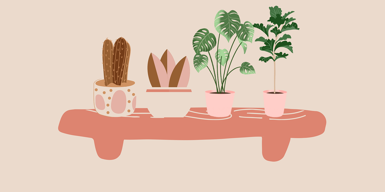 Eerste hulp bij kamerplanten: Zo los je veelvoorkomende problemen op
