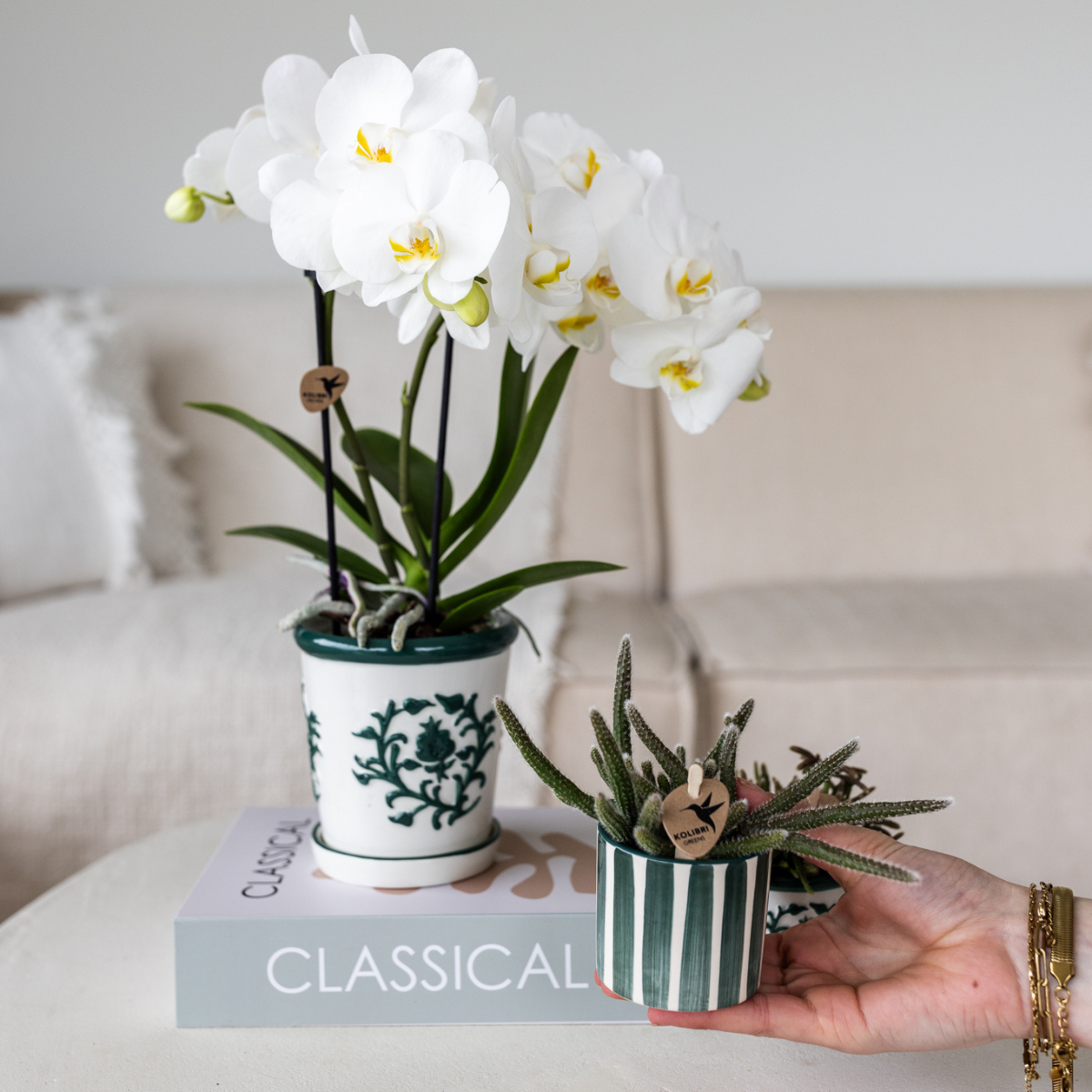 Everspring keramische pot met groen wit bloemenpatroon en gestreepte pot voor kamerplanten