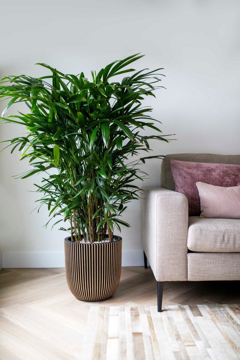 Groene plant in een Capi sierpot warm taupe pot naast een beige bank in een lichte woonkamer