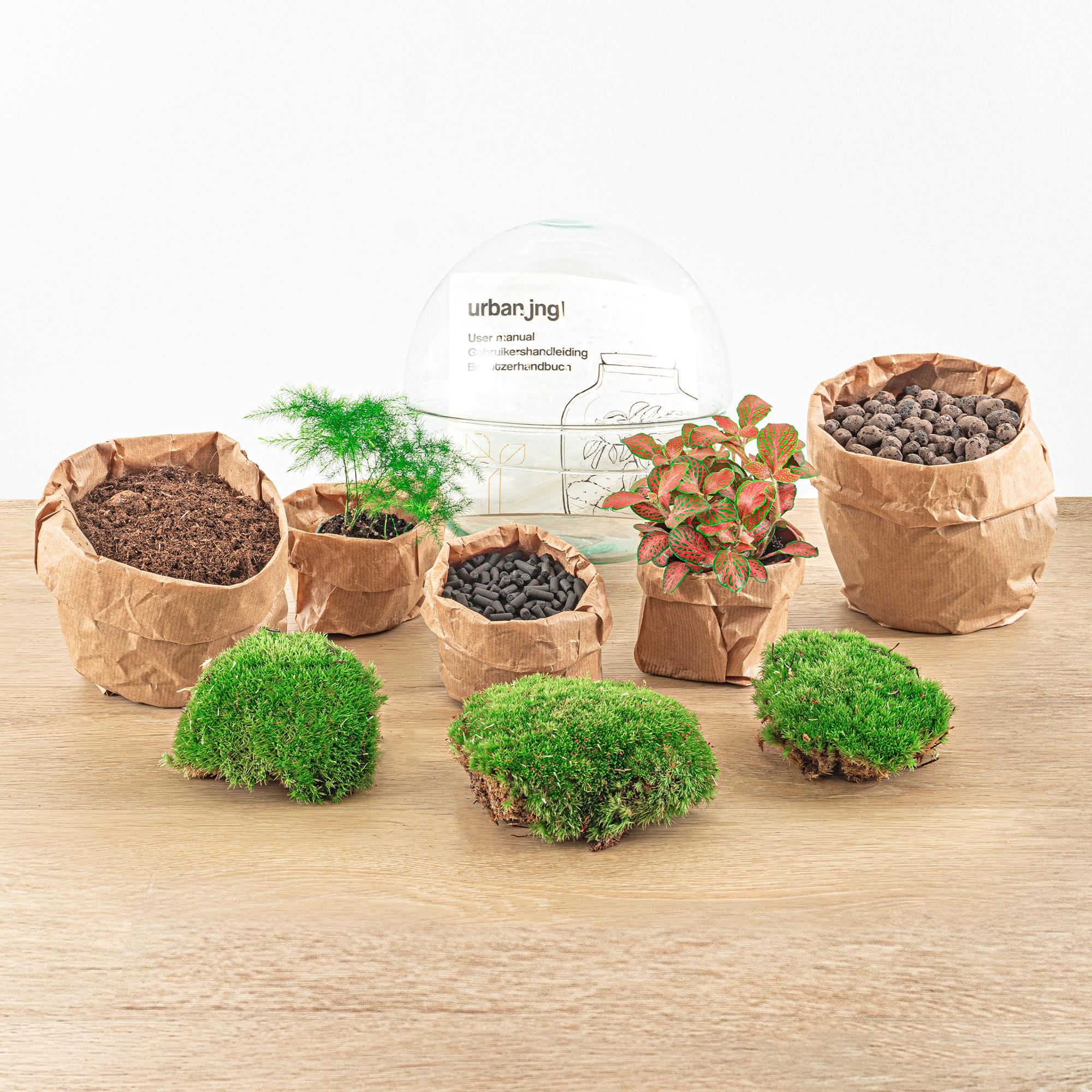 Everspring DIY terrarium kopen met mos, planten en materialen voor een eigen mini ecosysteem