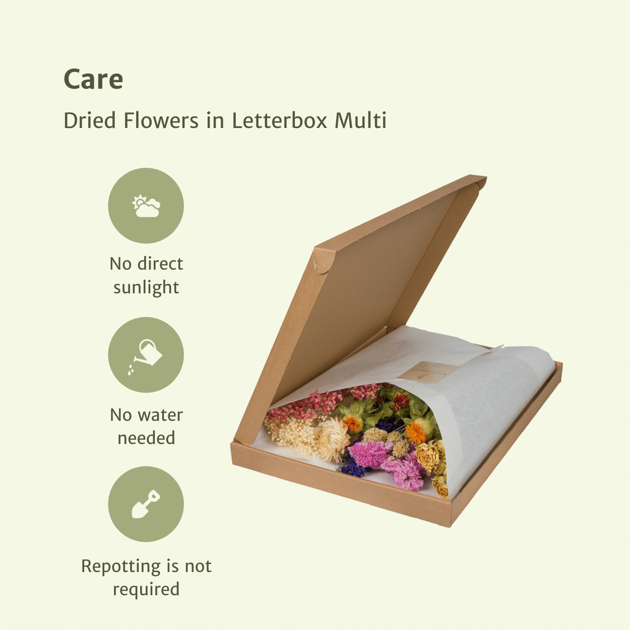 Everspring droogbloemen in brievenbusverpakking multi kleur met verzorgingstips op lichte achtergrond