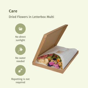 Everspring droogbloemen in brievenbusverpakking multi kleur met verzorgingstips op lichte achtergrond