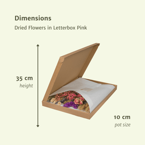 Everspring droogbloemen letterbox roze met gemengde gedroogde bloemen verpakt in een openstaande doos