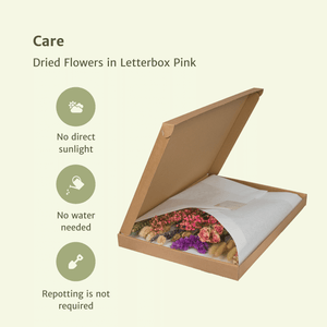 Everspring droogbloemen letterbox roze in open kartonnen doos verpakt met diverse gedroogde bloemen