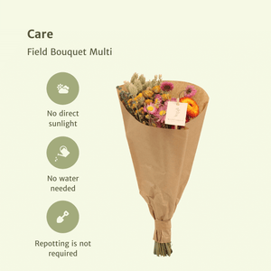 Everspring droogbloemen plukboeket kopen met diverse gedroogde bloemen verpakt in bruin papier
