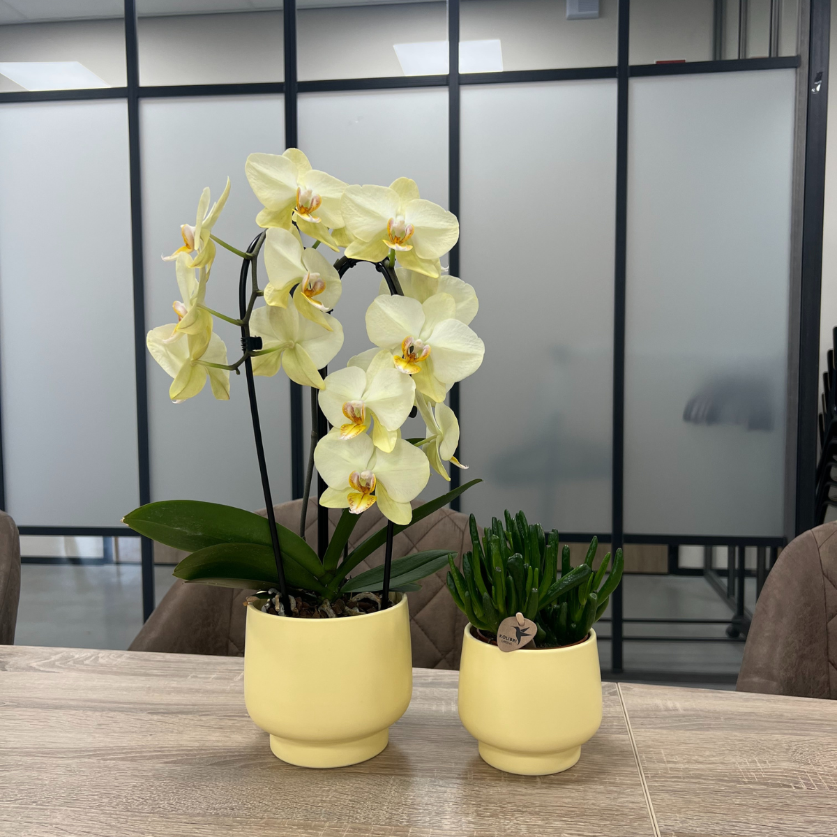 Twee gele sierpotten van Everspring met orchidee en groene plant op houten tafel gele sierpot kopen