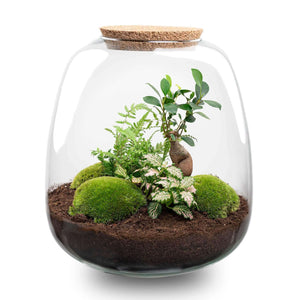 Everspring plantenterrarium met diverse groene planten en mos in een glazen pot met kurken deksel