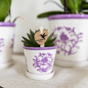 Everspring pot met paarse bloemdessin en een kleine groene vetplant in de pot