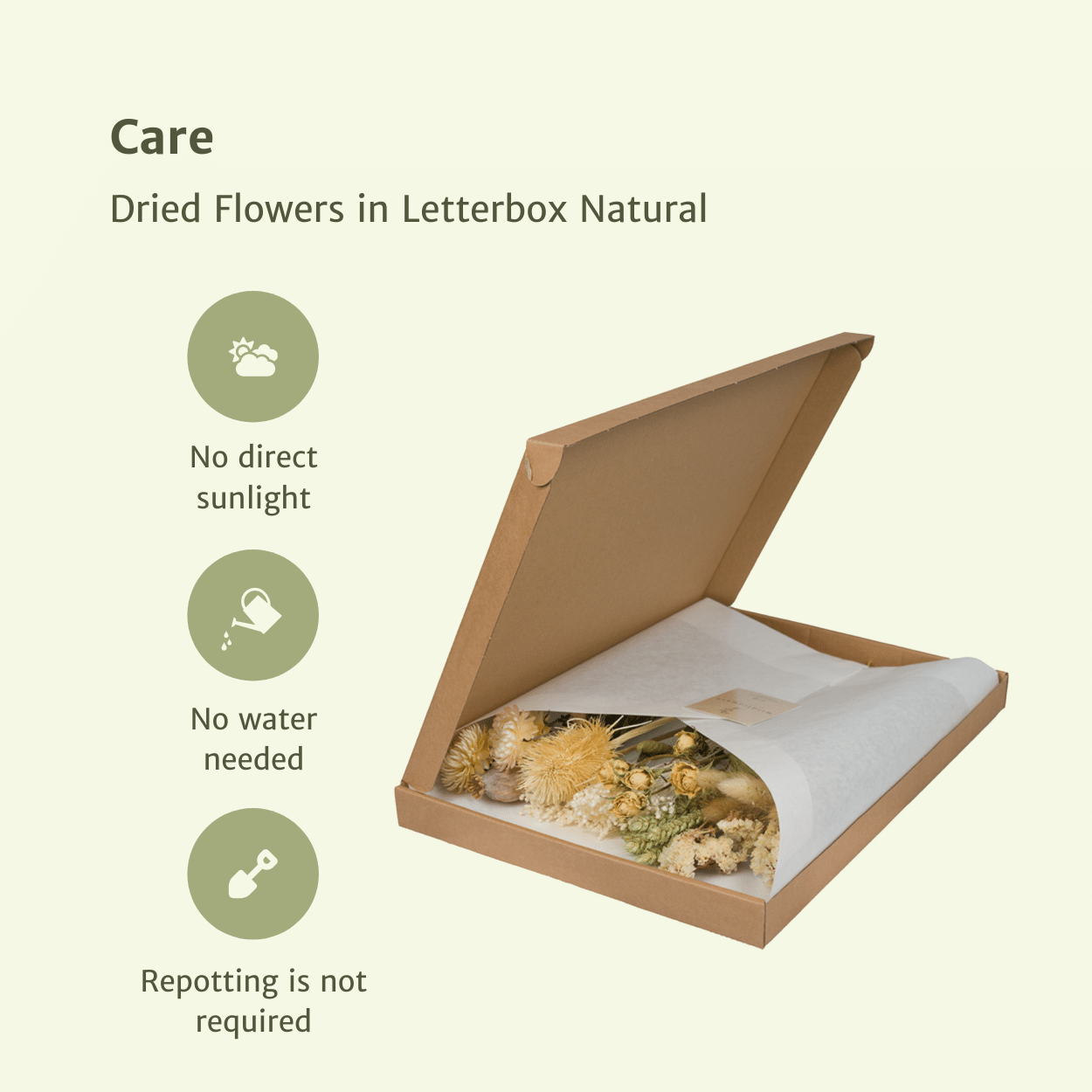 Everspring droogbloemen in brievenbus verpakt in natuurlijk kraft doosje zonder water en zonlicht