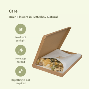 Everspring droogbloemen in brievenbus verpakt in natuurlijk kraft doosje zonder water en zonlicht