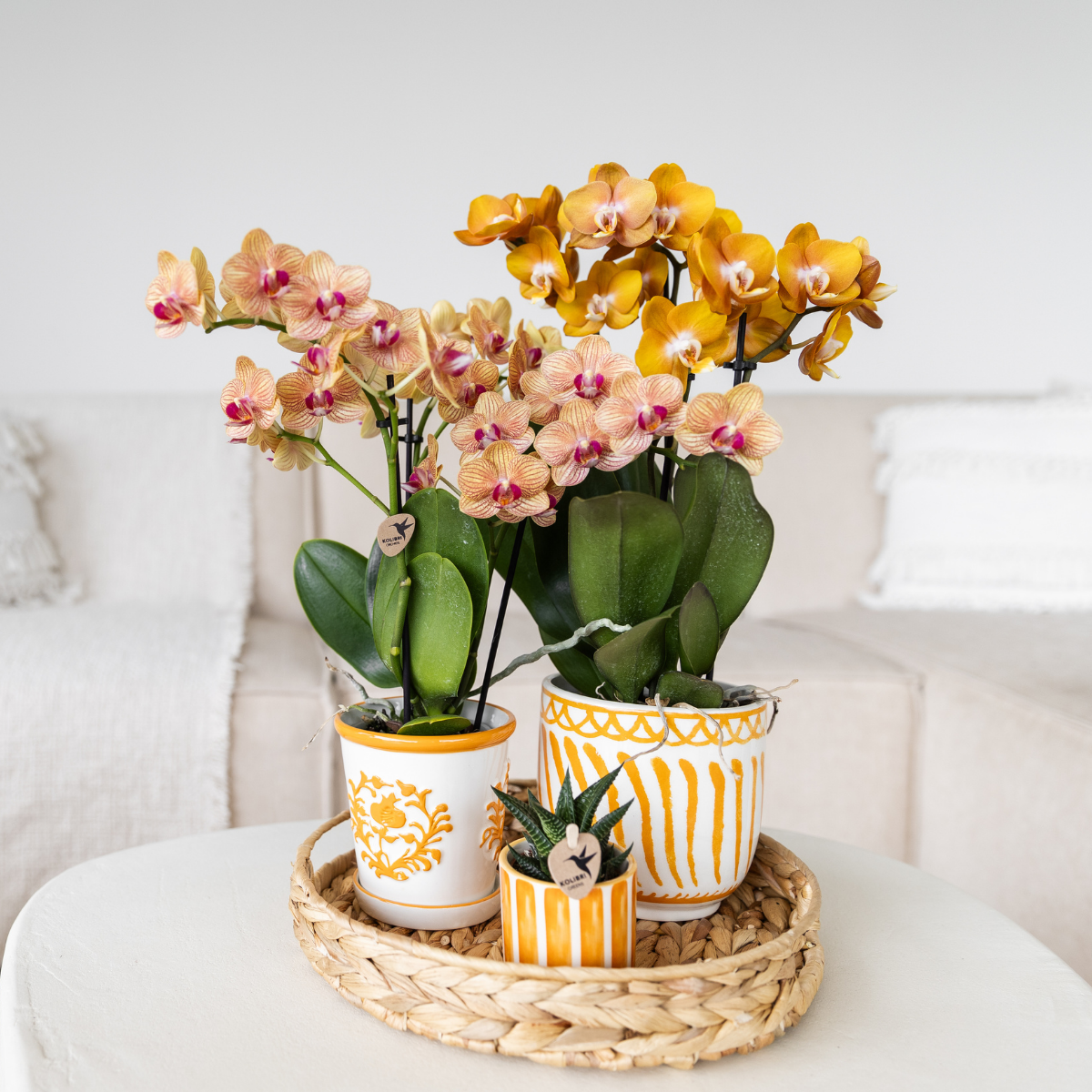 Oranje bloempot keramiek van Everspring met gele en roze orchideeën op een gevlochten dienblad