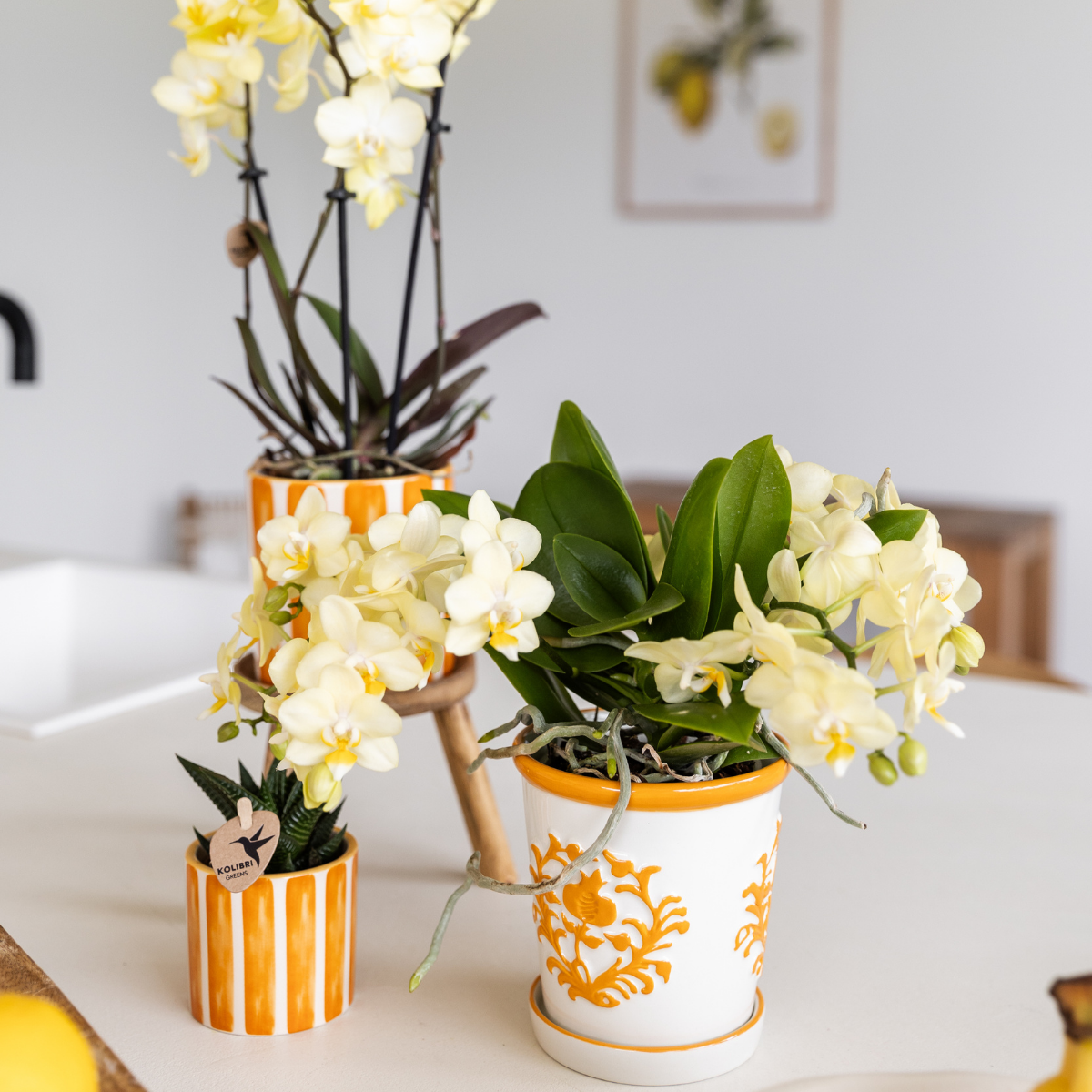 Everspring oranje sierpot keramiek met witte en gele orchideeën geschikt voor binnengebruik