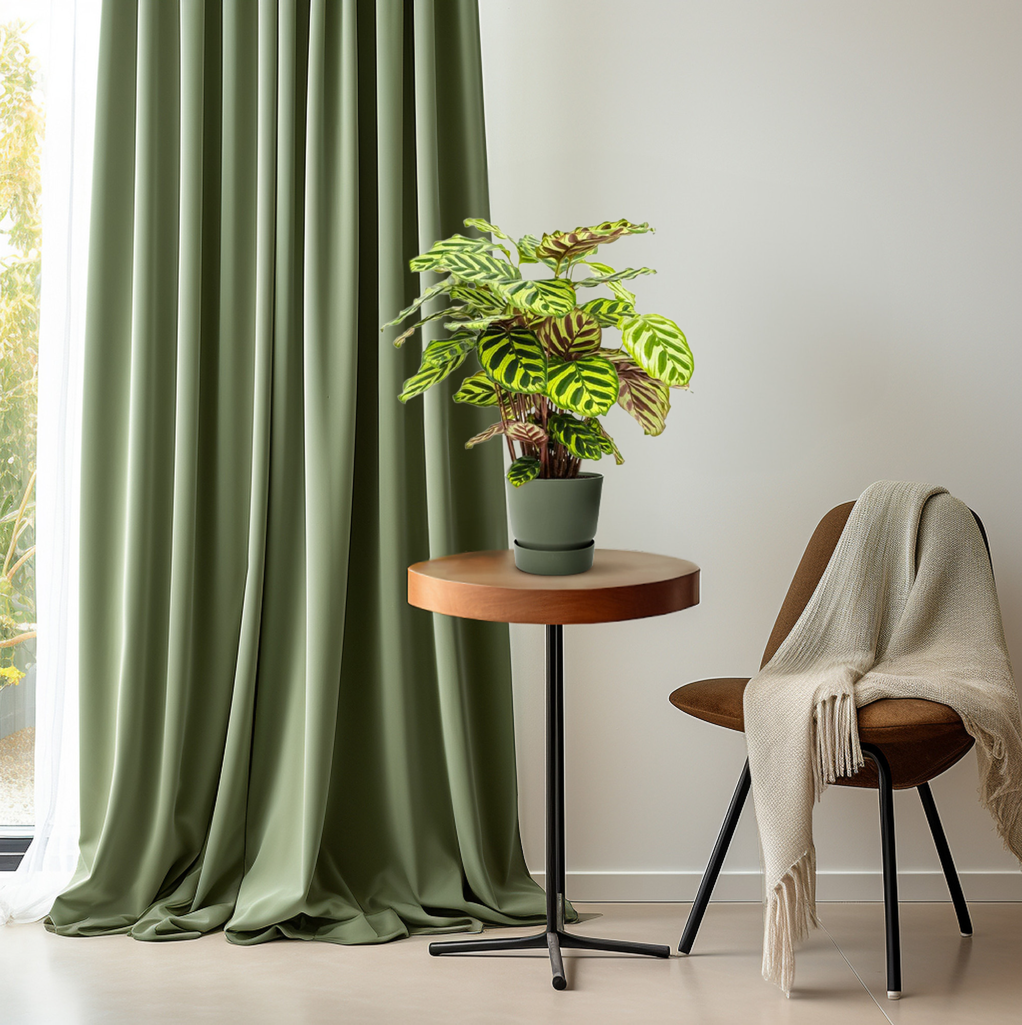 Everspring pauwenplant kopen in groen pot op tafel naast stoel met beige deken en groene vitrage