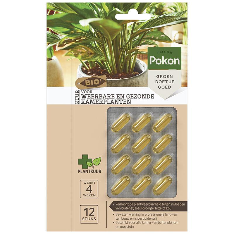Everspring bio kuur kamerplanten met 12 capsules voor sterke en gezonde kamerplanten
