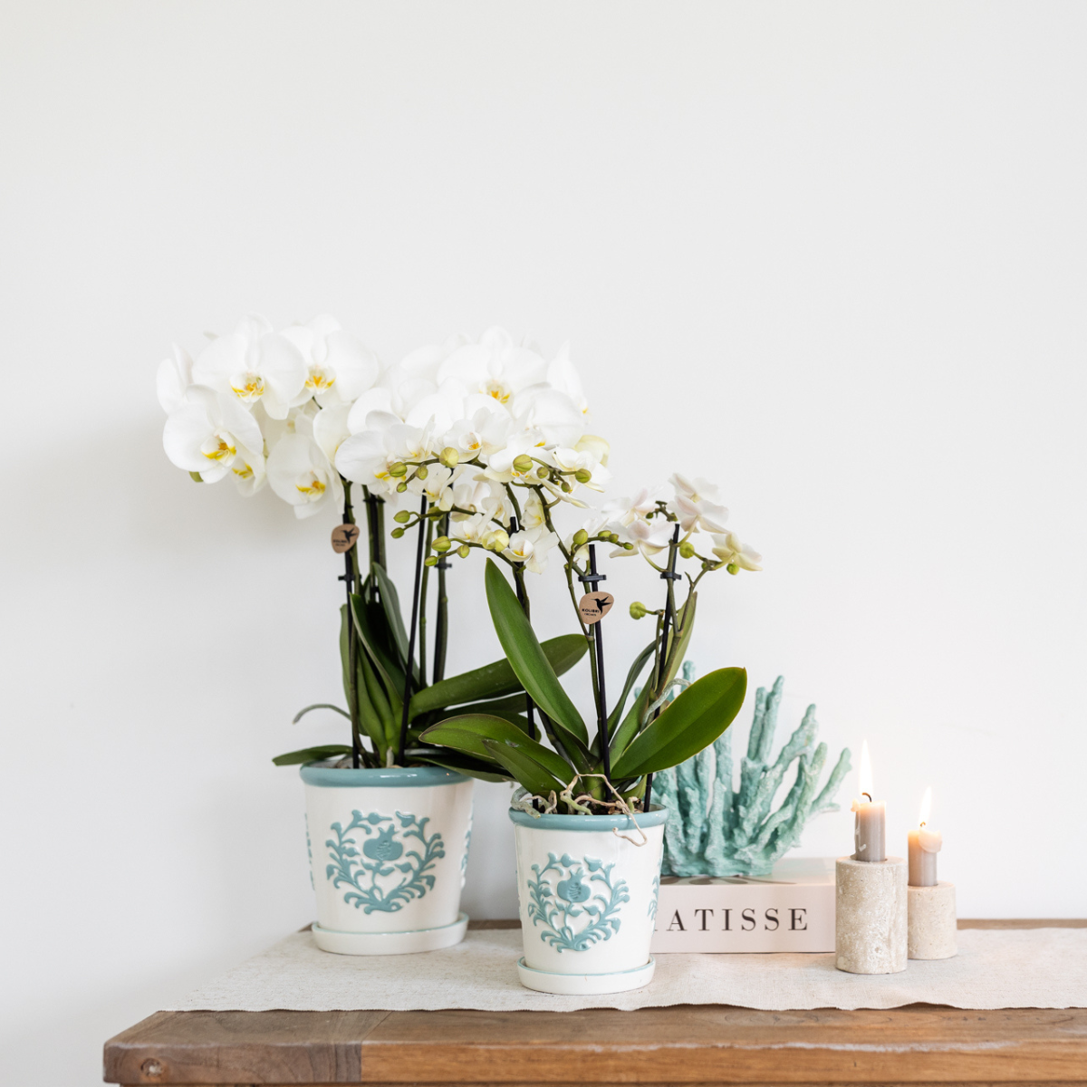 Everspring potten met witte orchideeën en decoratieve motieven op houten tafel