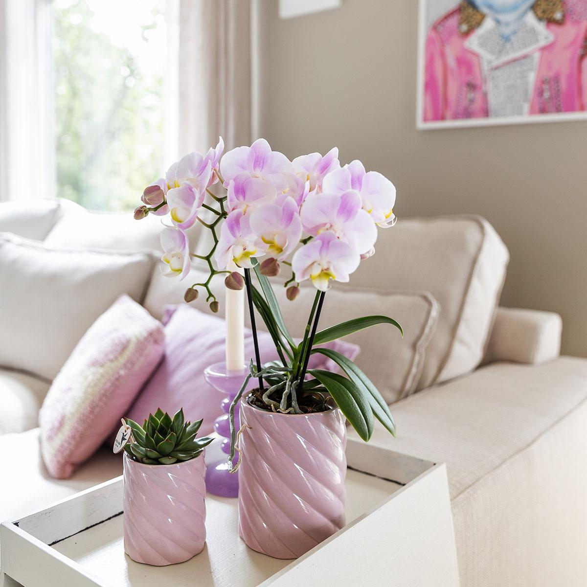 Roze sierpot hoog van Everspring met een bloeiende orchidee en een kleine vetplant in lichte woonkamer
