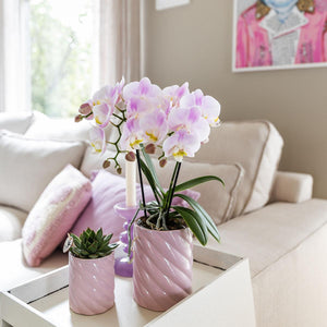 Roze sierpot hoog van Everspring met een bloeiende orchidee en een kleine vetplant in lichte woonkamer