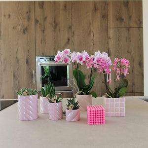 Everspring roze sierpot hoog met verschillende planten en orchideeën in moderne keuken