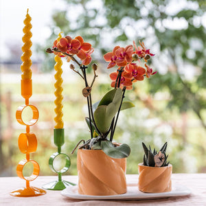 Everspring sierpot perzik met orchidee en kleine vetplant op witte schaal naast gele kaarsenhouder