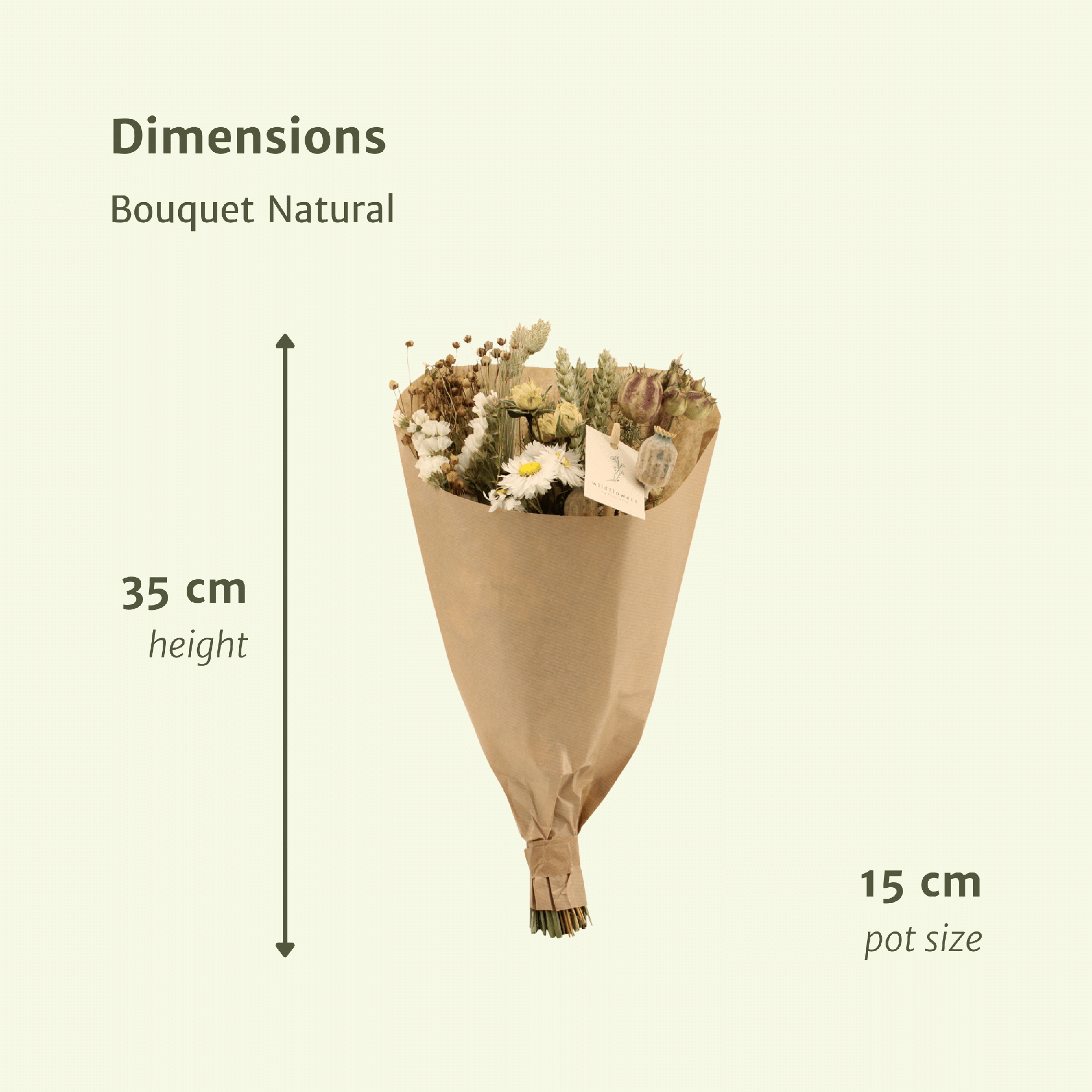 Droogbloemen Plukboeket - Naturel