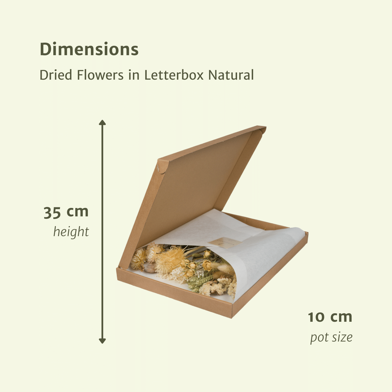 Droogbloemen in Letterbox - Naturel