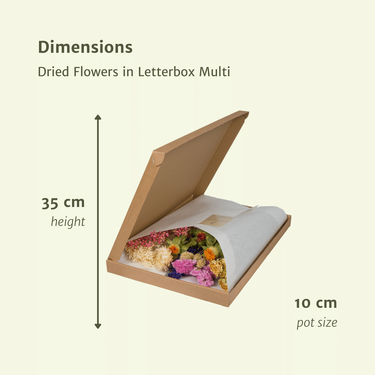 Droogbloemen in Letterbox - Gemengd
