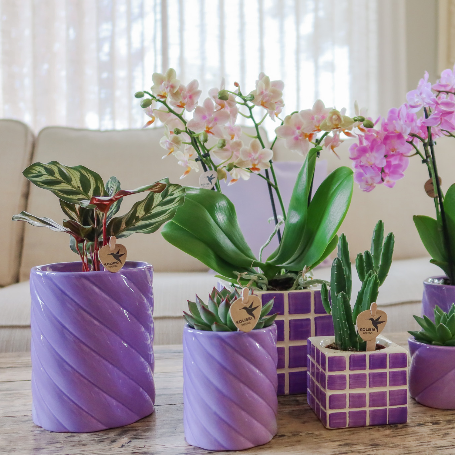 Candy sierpot hoog - Lila