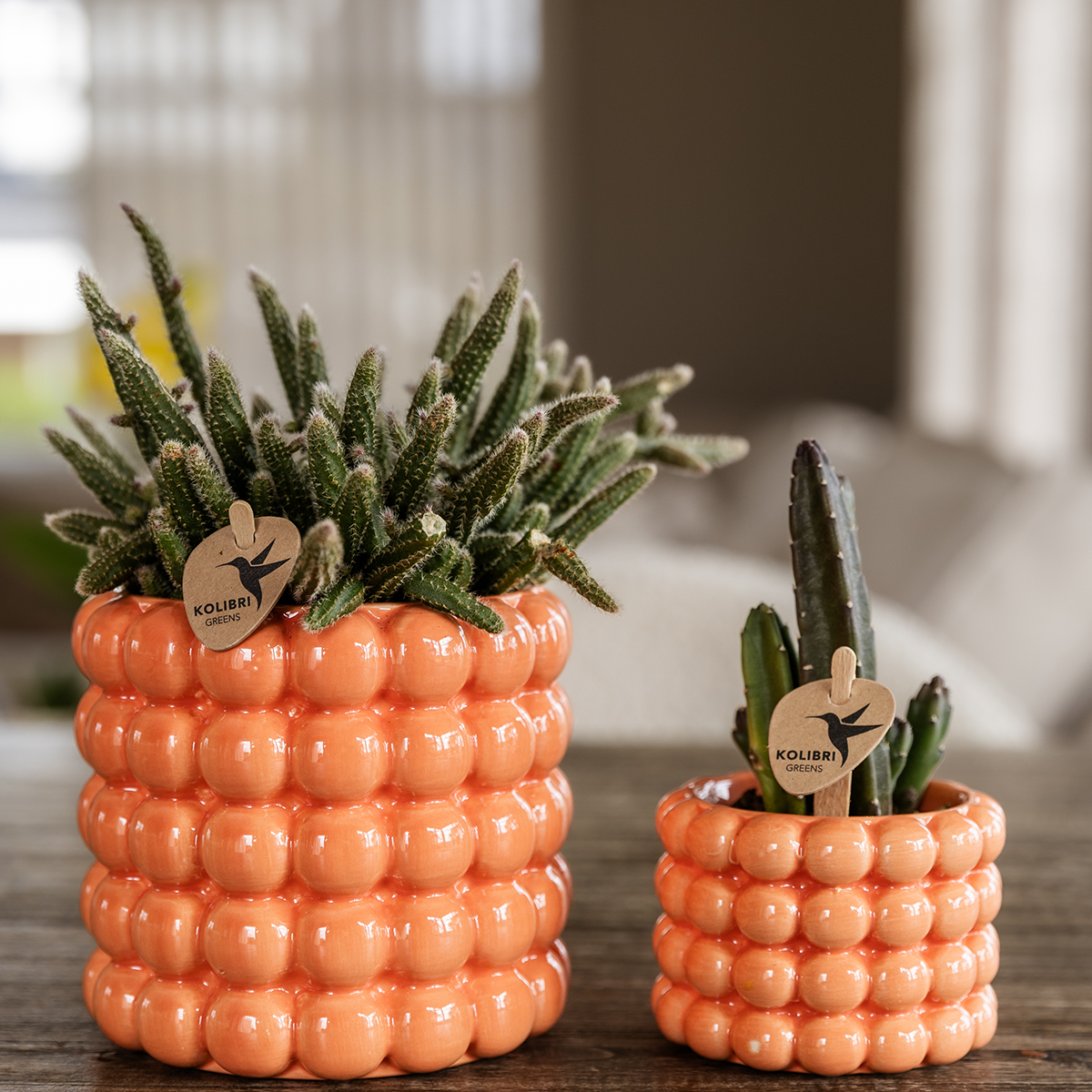 Poppy sierpot - Oranje Everspring