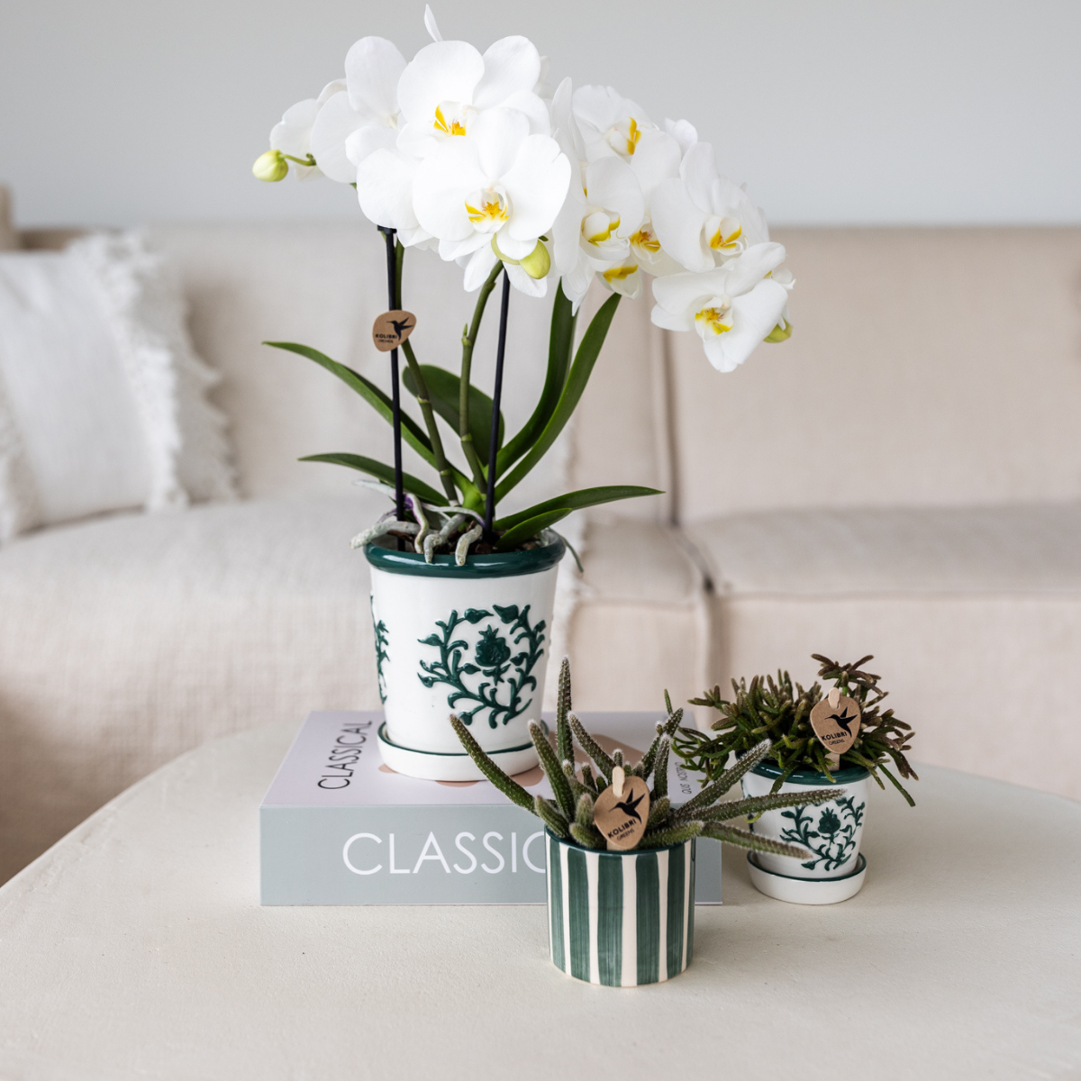 Painted Stripe sierpot - Groen