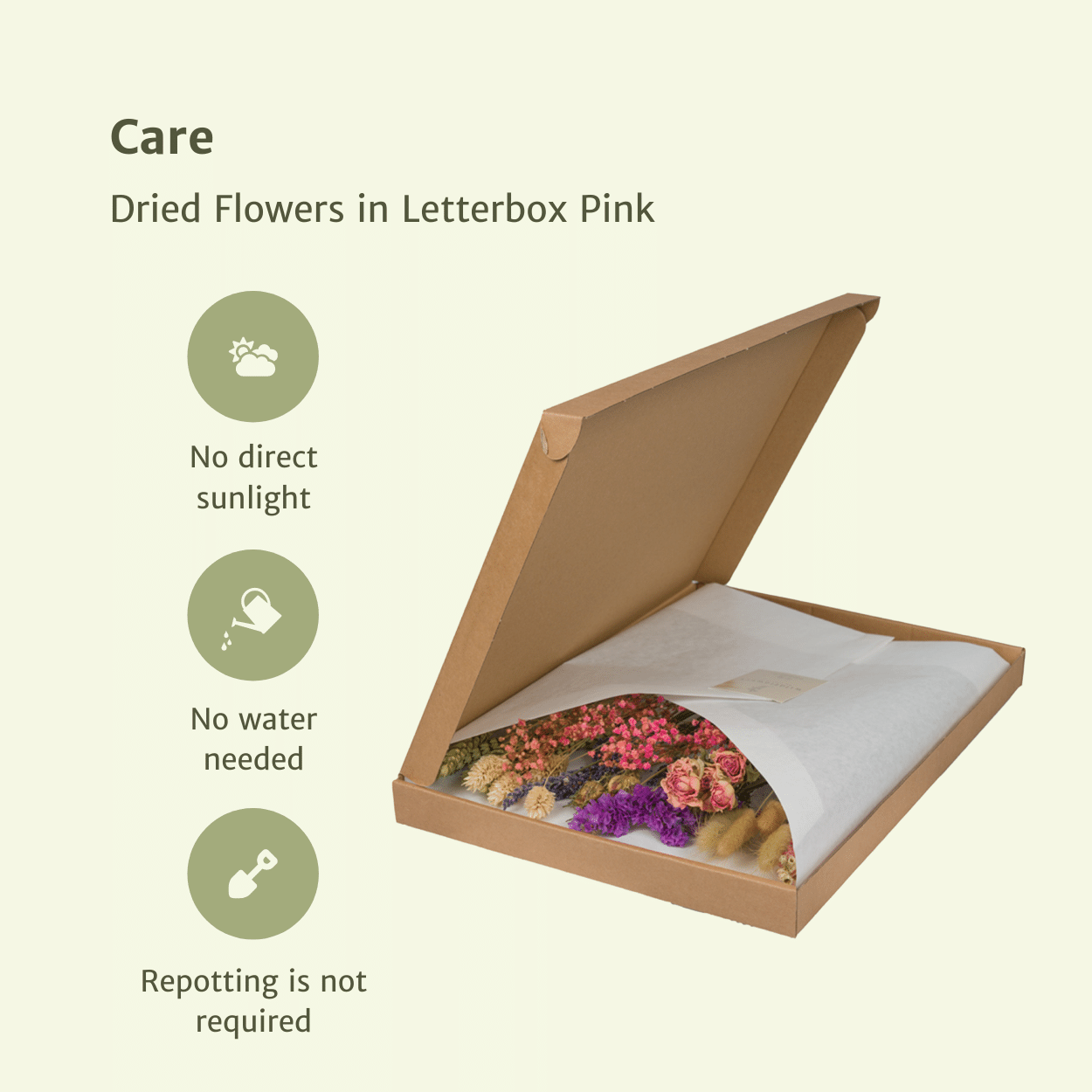 Droogbloemen in Letterbox - Roze