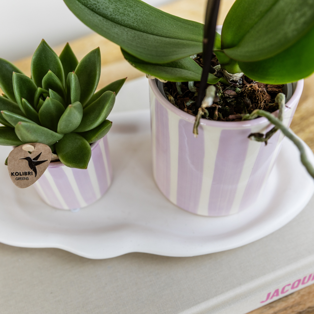 Painted Stripe sierpot - Roze