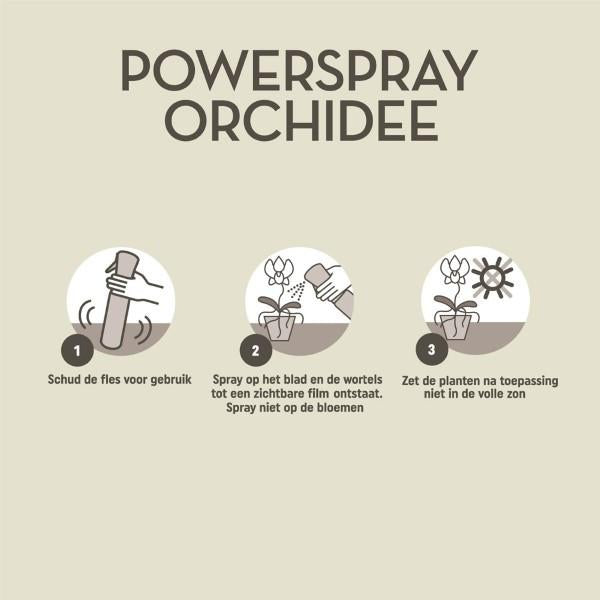 Powerspray Orchidee 300ml