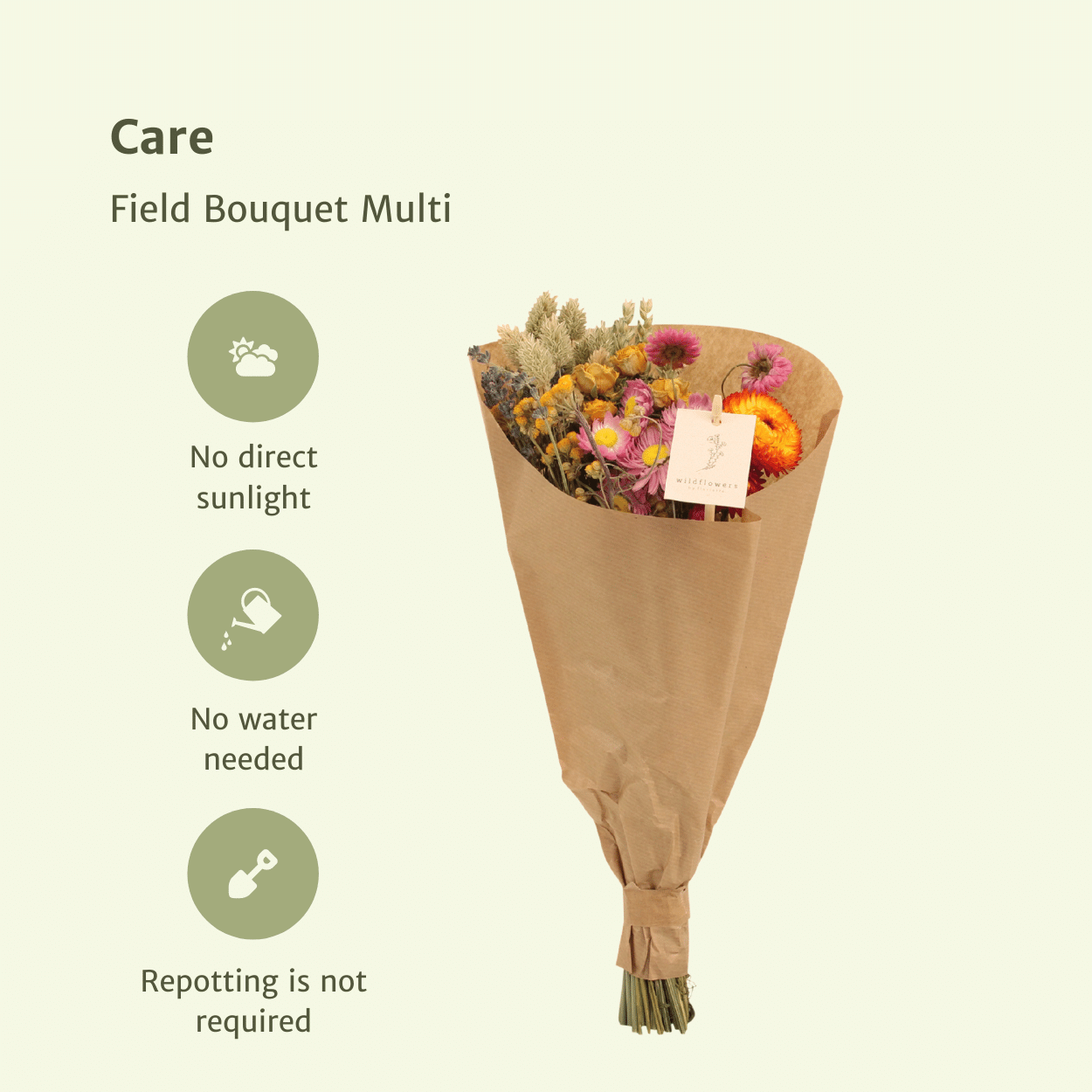Droogbloemen Plukboeket  - Gemengd