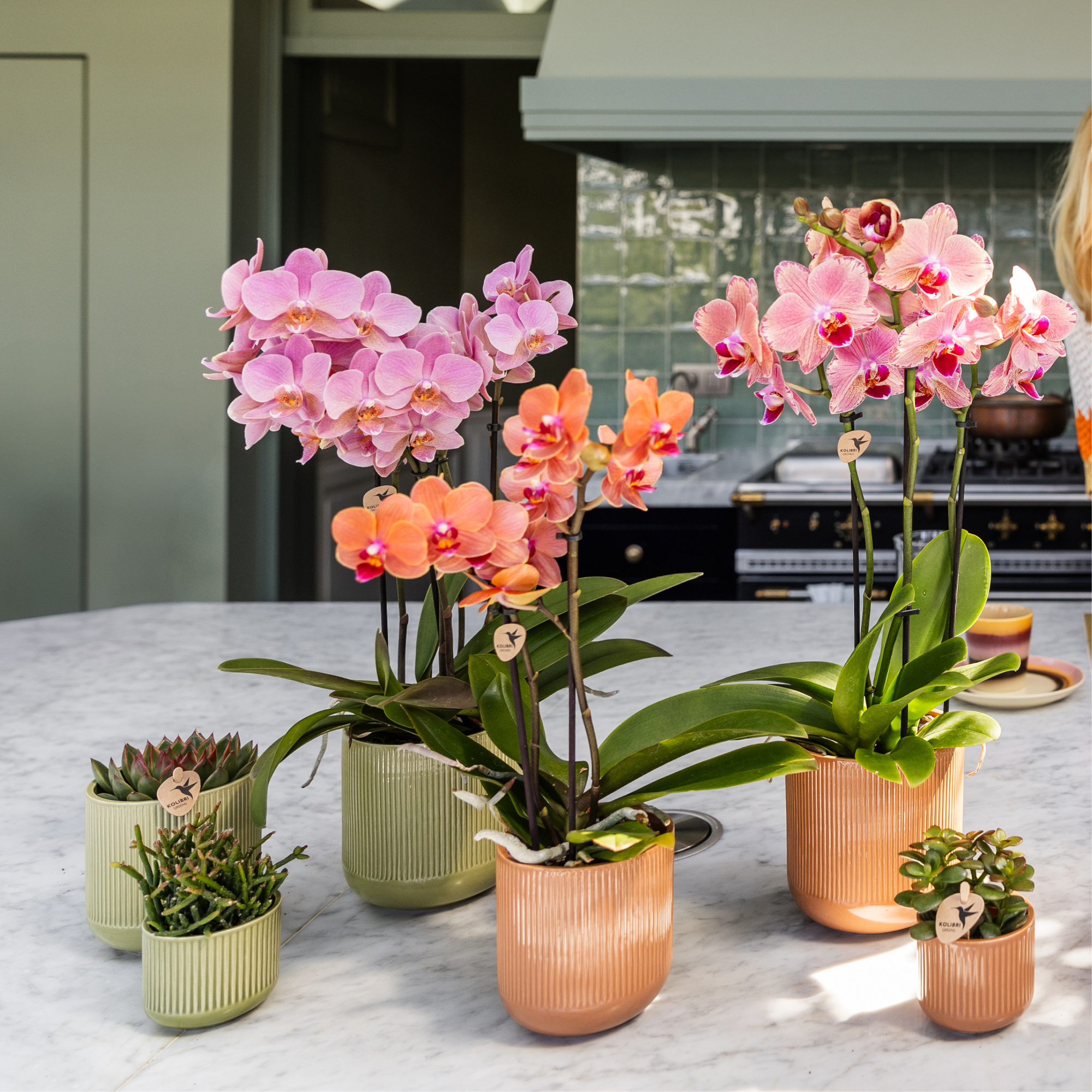Flare sierpot - Groen